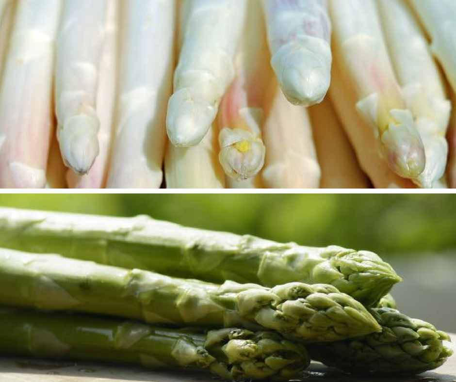 Grüner vs. weißer Spargel diese 5 Unterschiede kennen nur die wenigsten