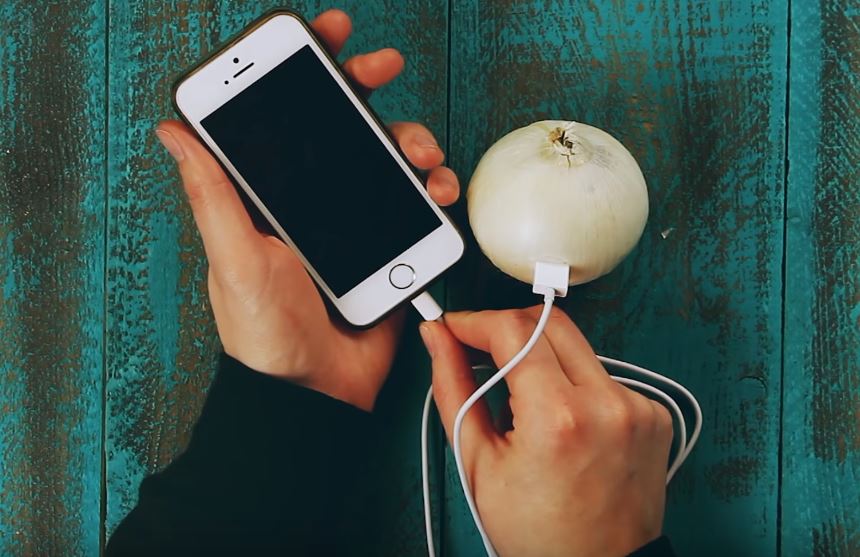 Mit einer Zwiebel das Handy aufladen es funktioniert wirklich. So geht