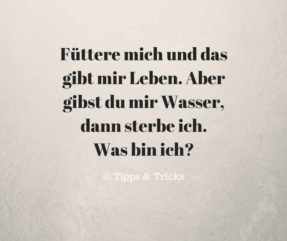  Foto zu Rätsel Feuer 